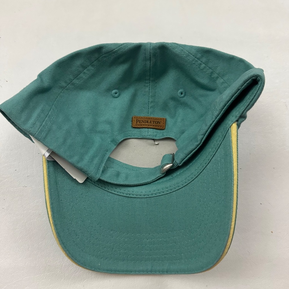 NEW Pendleton Aqua Logo Graphic Adjustable Baseball Hat Cap One Size - Picture 5 of 5